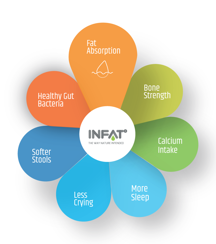 Fat Absorption | Advanced Lipids
